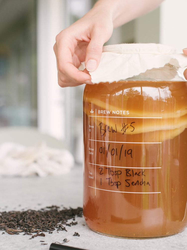 Brew Your Own Kombucha with Our 1-Gallon Ingredient Pack
