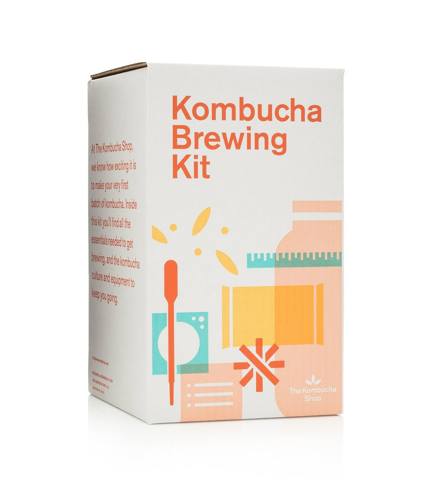 Best Kombucha Starter Kit (Make Your Own!)