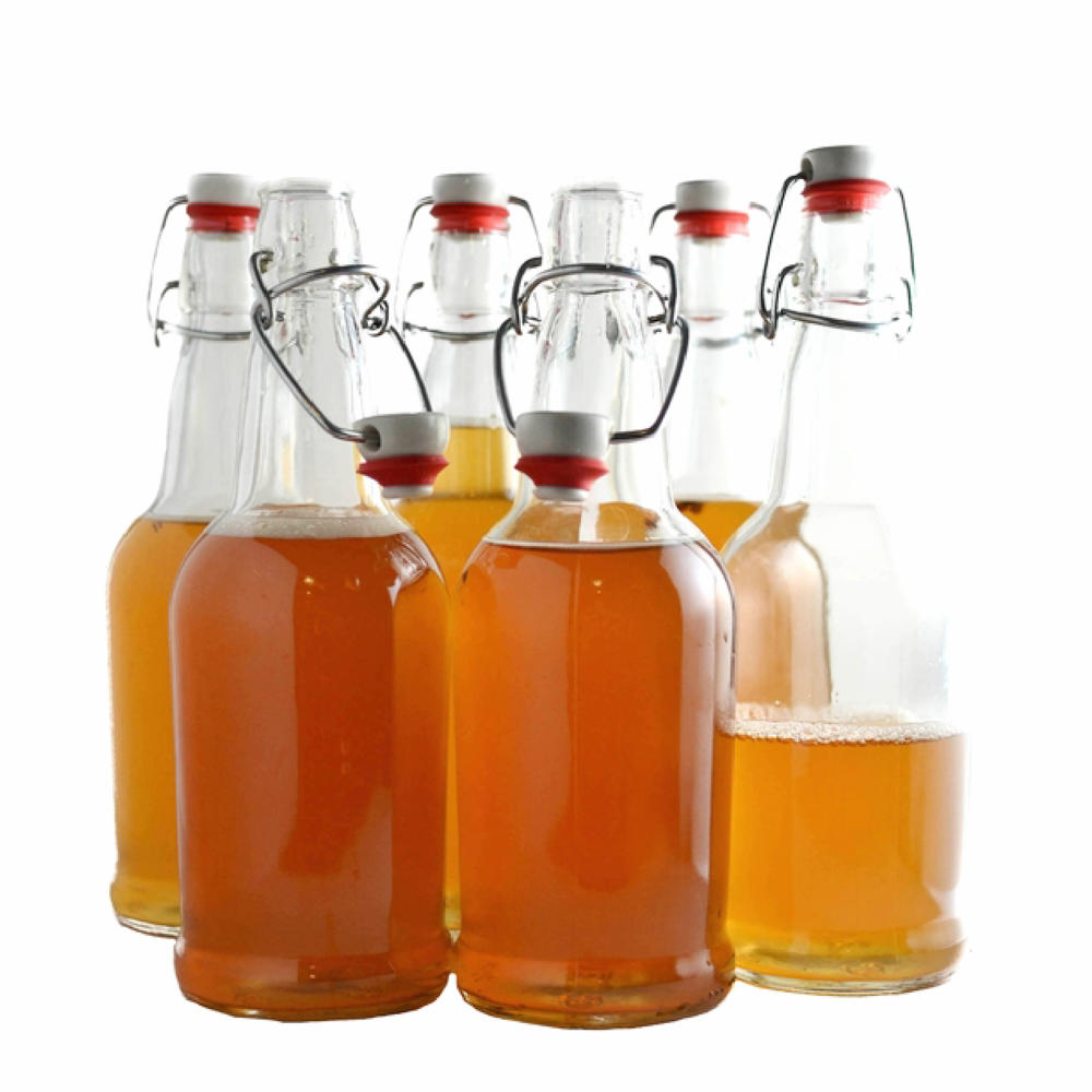 Kombucha Brewing Glass Bottles - 16oz – YEABUCHA